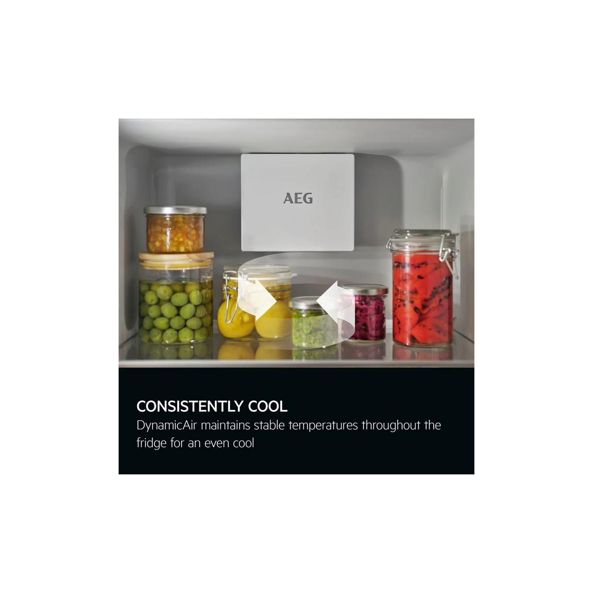 AEG NSK6D181EC 6000 Dynamic Air Integrated In Column Larder Fridge with Fixed Hinge Door - Lux Appliances