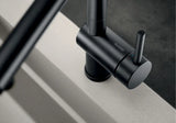 Blanco Linus-S - 525807 - Single Lever Monobloc Kitchen Tap with Pull-out Spray - Matt Black